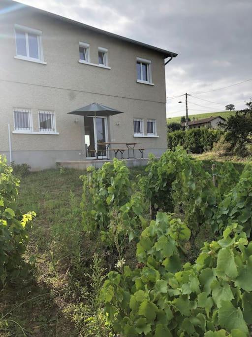 Petit Gite De Javernieres Rez De Jardin Villie-Morgon Exterior photo